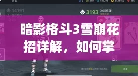 暗影格斗3雪崩花招详解，如何掌握军团派系的强力招式
