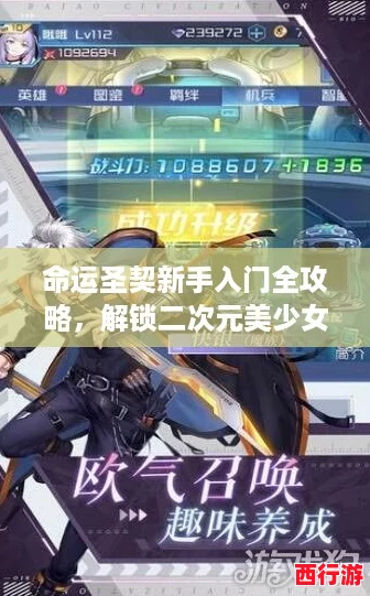 命运圣契新手入门全攻略，解锁二次元美少女战斗之旅