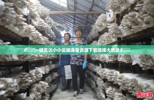 🚀一键直达小小云端海量资源下载链接大放送🔗
