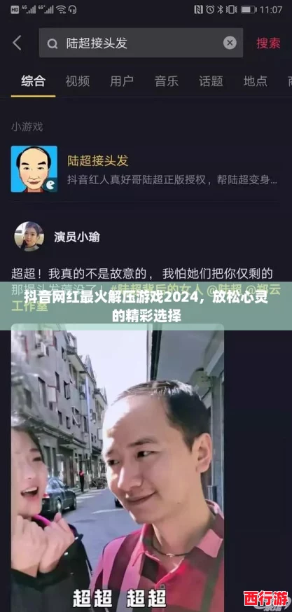 抖音网红最火解压游戏2024，放松心灵的精彩选择