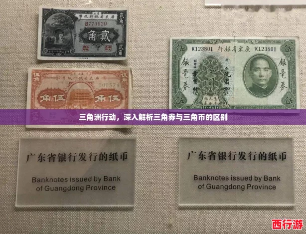 三角洲行动，深入解析三角券与三角币的区别
